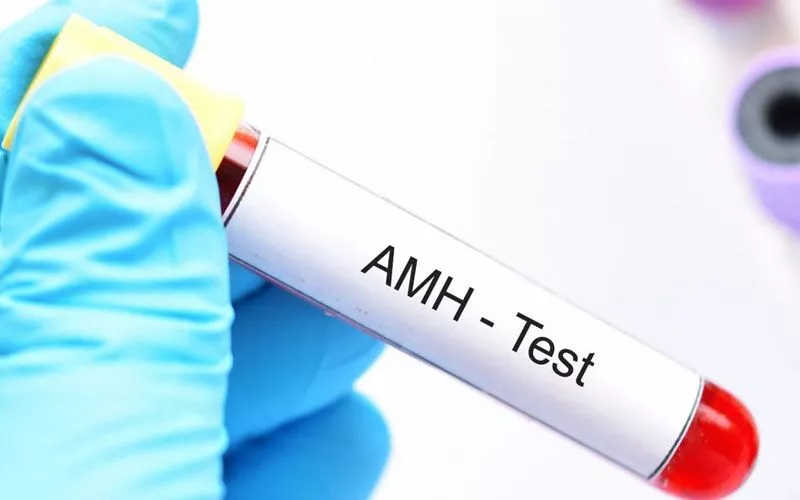 AMH hormonu nedir, rolu ve normal deyeri