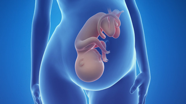 Dolun ense qalinligi (Nuchal Translucency, NT)